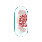 imageCalciu marin+Vit.D2 naturala
