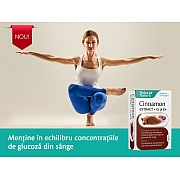 imageCinnamon EXTRACT + Crom și Zinc