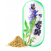 imageVitex Agnus-Castus Extract 300mg.