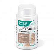 imageLion's Mane Extract 500 mg.
