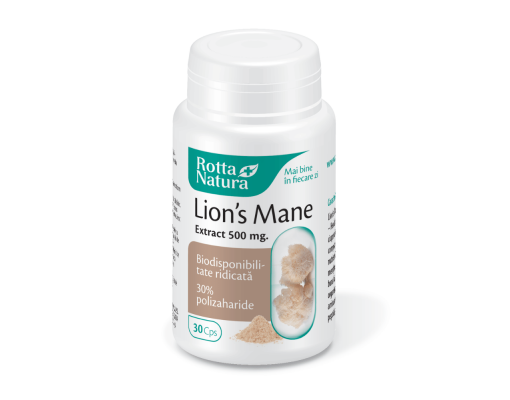 imageLion's Mane Extract 500 mg.