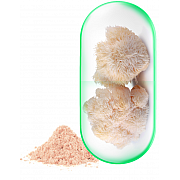 imageLion's Mane Extract 500 mg.