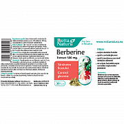 imageBerberine Extract 500 mg.